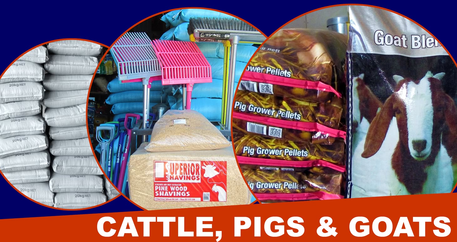 Cattle, pig and goat products.