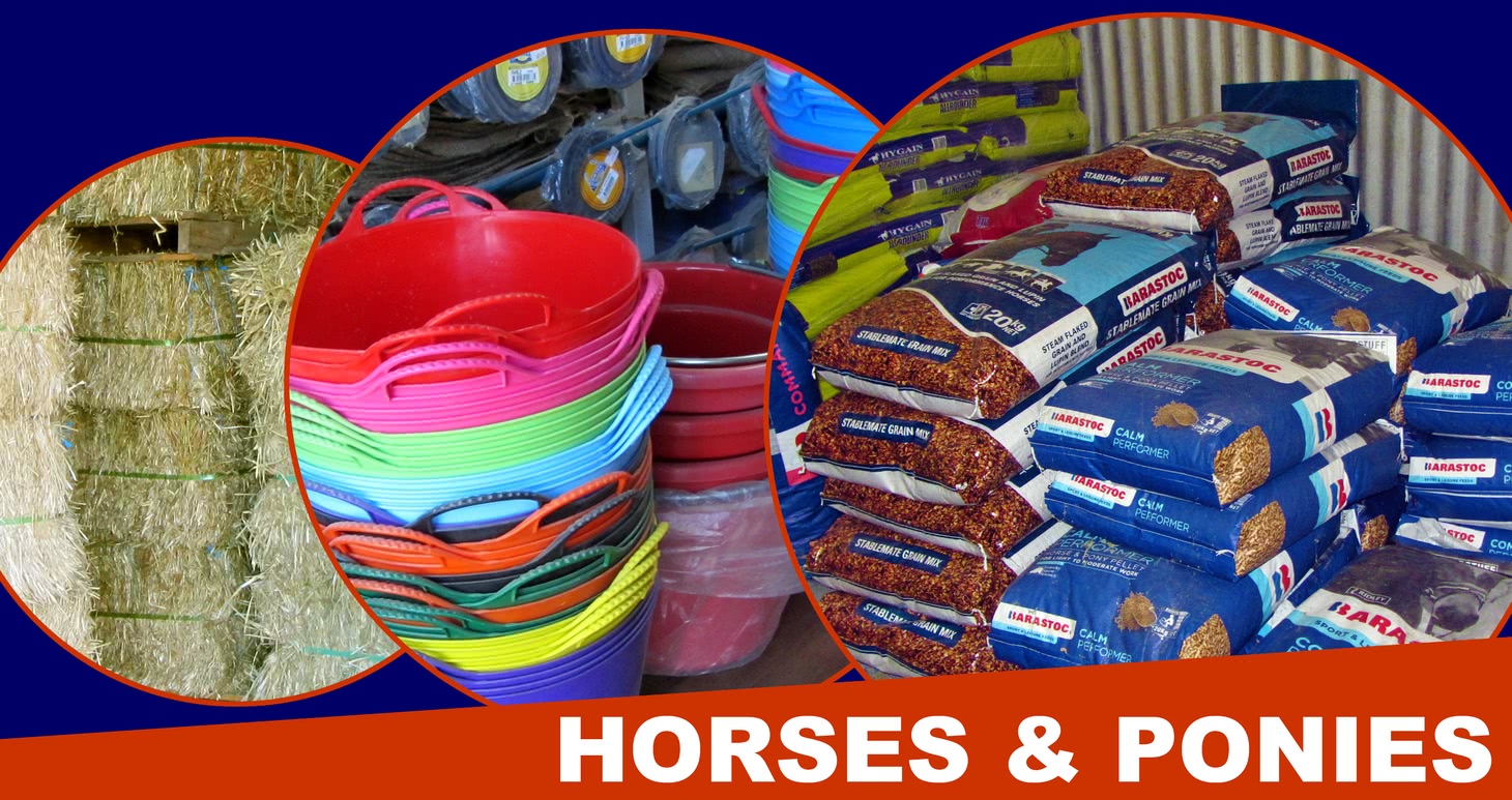 Horse and pony products.