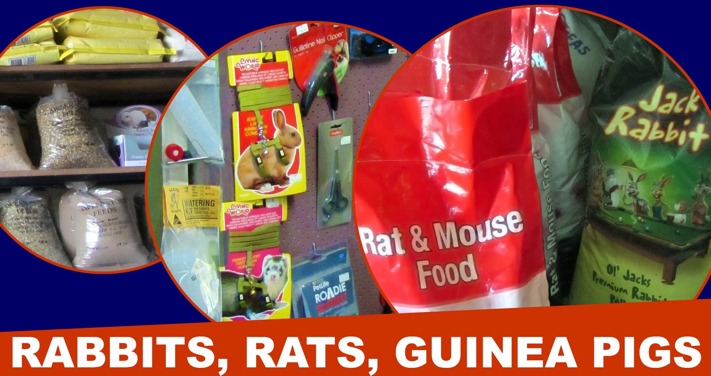 Rabbit, rat and guinea pig products.