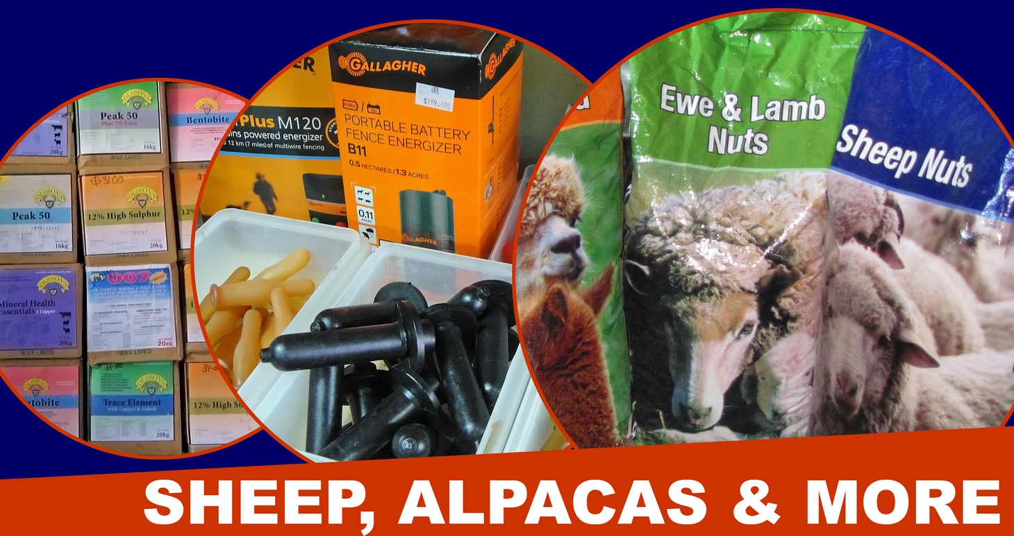 Sheep, Alpaca and more products.