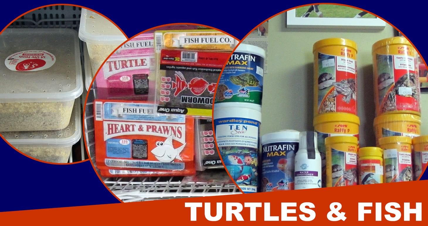 Turtles and fish products.