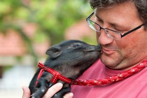 Man holding piglet affectionately